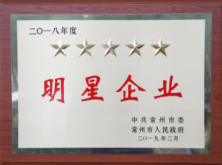 常寶股份榮獲“工業(yè)五星級企業(yè)”、“納稅金獎”等多項大獎156.png